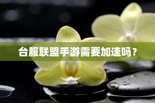 台服联盟手游需要加速吗？