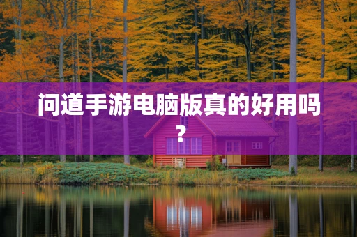 问道手游电脑版真的好用吗？