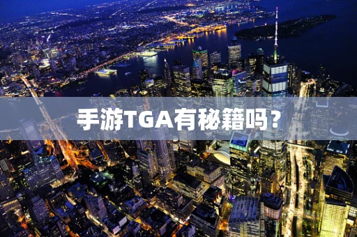 手游TGA有秘籍吗？