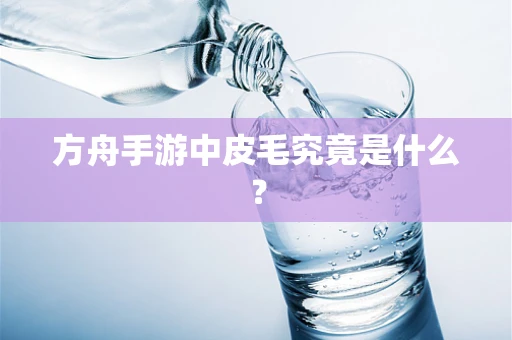 方舟手游中皮毛究竟是什么？