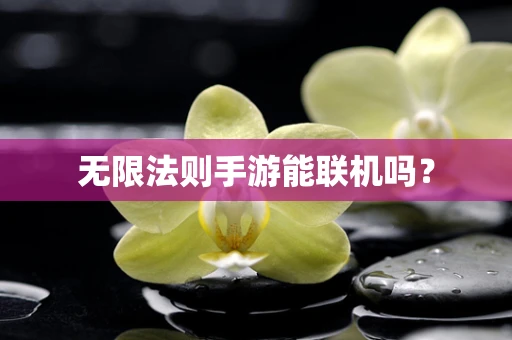 无限法则手游能联机吗？