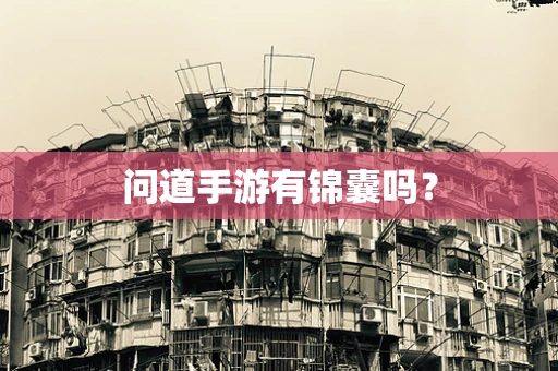 问道手游有锦囊吗？
