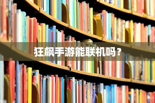 狂飙手游能联机吗？