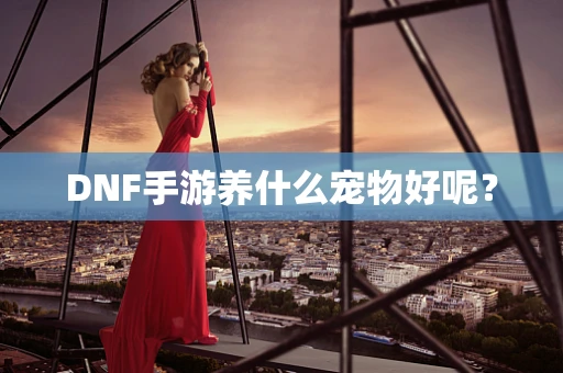 DNF手游养什么宠物好呢？