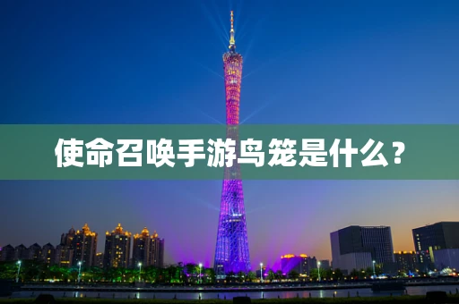 使命召唤手游鸟笼是什么？