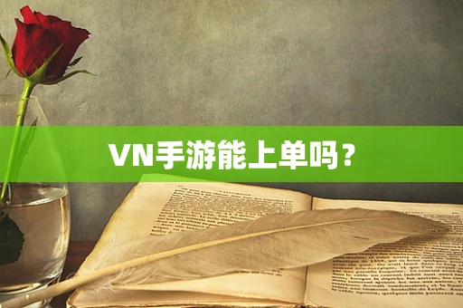 VN手游能上单吗？
