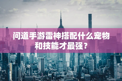 问道手游雷神搭配什么宠物和技能才最强？