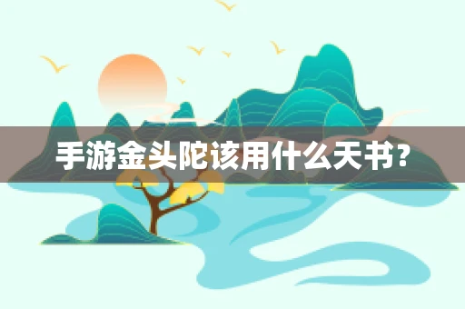 手游金头陀该用什么天书？