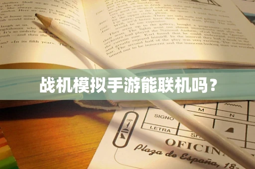战机模拟手游能联机吗？