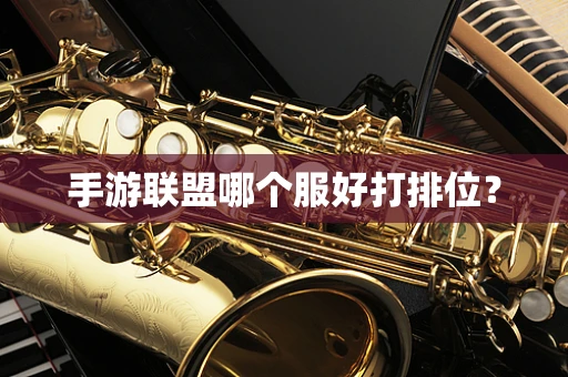 手游联盟哪个服好打排位？