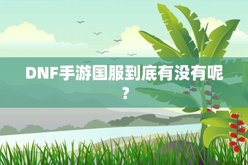 DNF手游国服到底有没有呢？