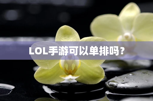 LOL手游可以单排吗？