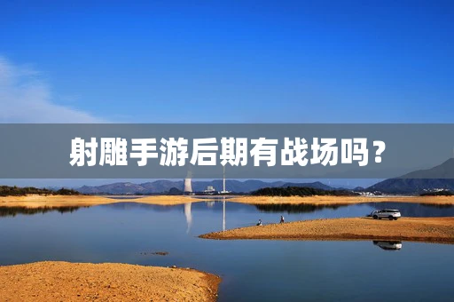 射雕手游后期有战场吗？