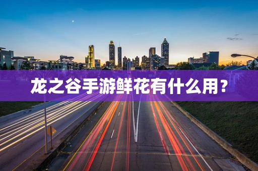 龙之谷手游鲜花有什么用？