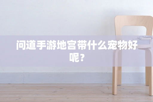 问道手游地宫带什么宠物好呢？