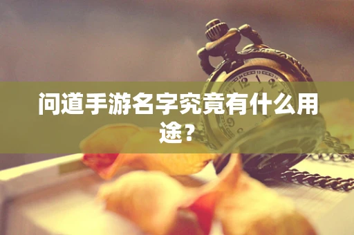 问道手游名字究竟有什么用途？