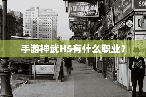 手游神武H5有什么职业？