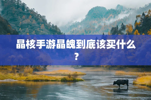 晶核手游晶魄到底该买什么？