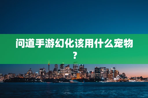 问道手游幻化该用什么宠物？