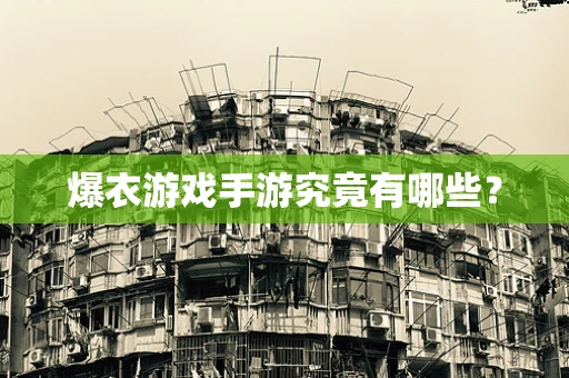 爆衣游戏手游究竟有哪些？
