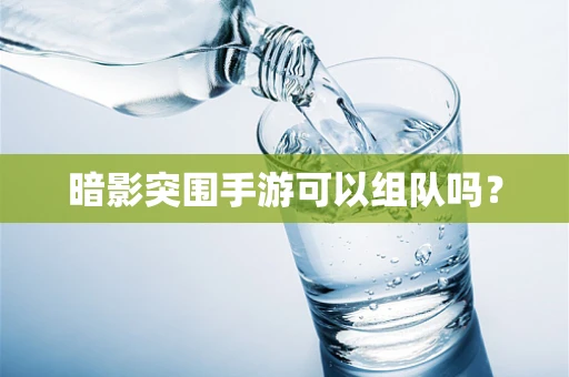 暗影突围手游可以组队吗？