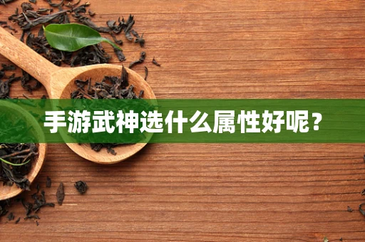 手游武神选什么属性好呢？