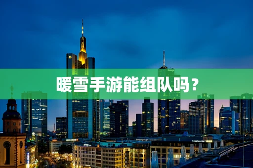 暖雪手游能组队吗？