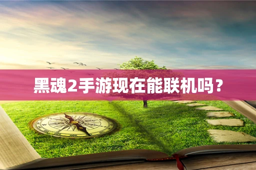 黑魂2手游现在能联机吗？