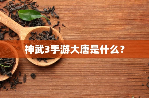 神武3手游大唐是什么？