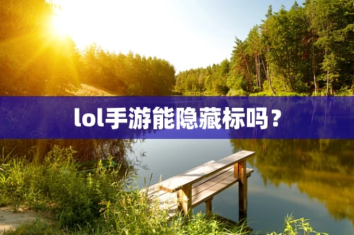 lol手游能隐藏标吗？