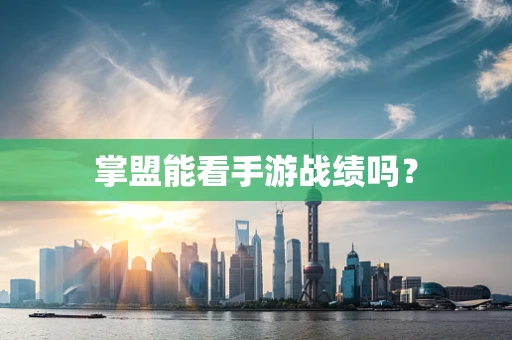 掌盟能看手游战绩吗？