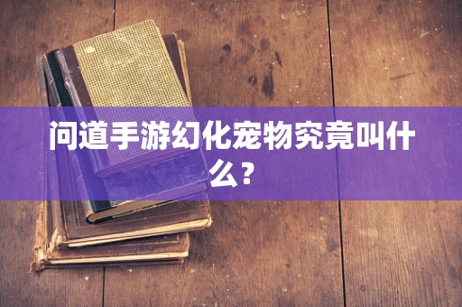 问道手游幻化宠物究竟叫什么？