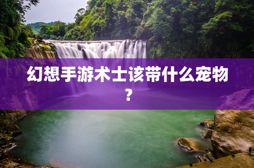 幻想手游术士该带什么宠物？