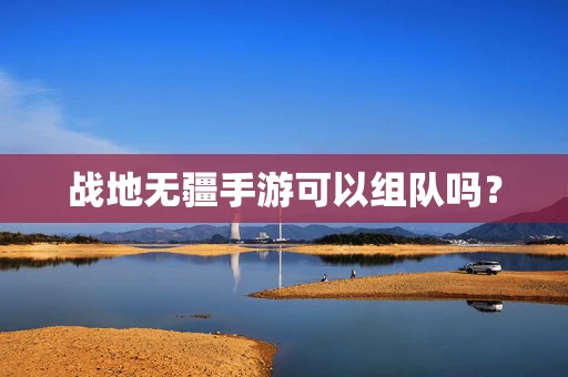 战地无疆手游可以组队吗？