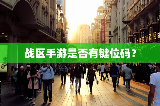 战区手游是否有键位码？