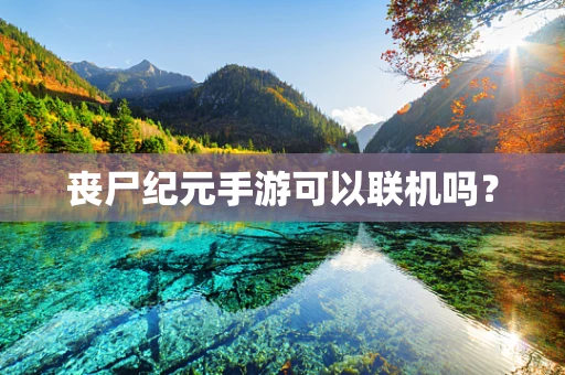 丧尸纪元手游可以联机吗？