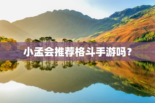 小孟会推荐格斗手游吗？