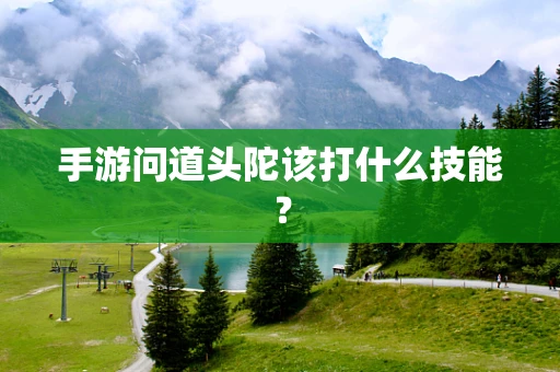 手游问道头陀该打什么技能？