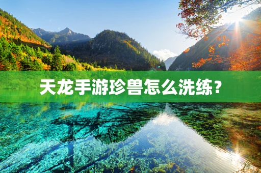 天龙手游珍兽怎么洗练？