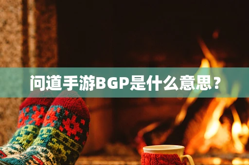 问道手游BGP是什么意思？
