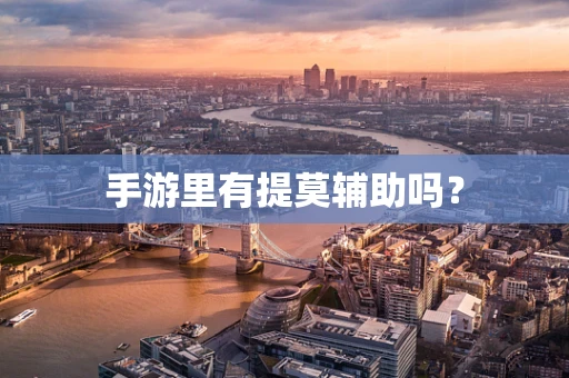 手游里有提莫辅助吗？