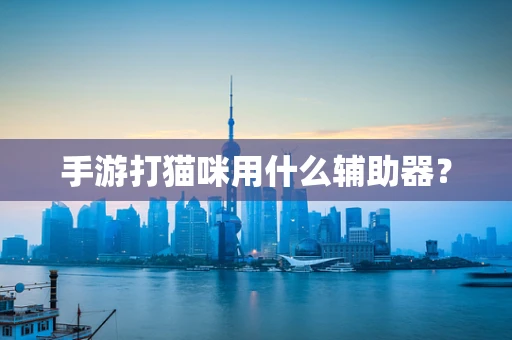 手游打猫咪用什么辅助器？