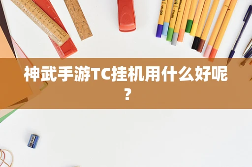 神武手游TC挂机用什么好呢？