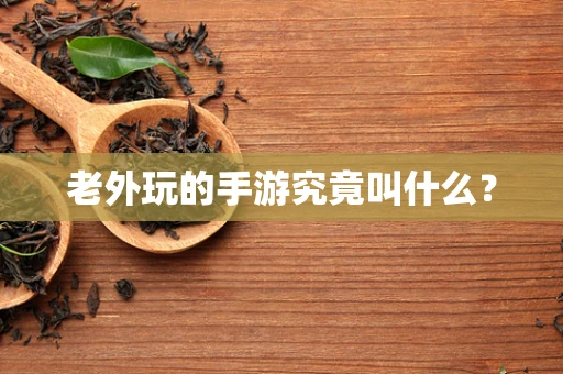 老外玩的手游究竟叫什么？