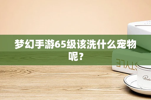 梦幻手游65级该洗什么宠物呢？