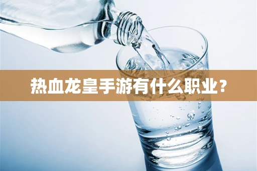 热血龙皇手游有什么职业？