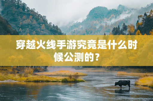 穿越火线手游究竟是什么时候公测的？