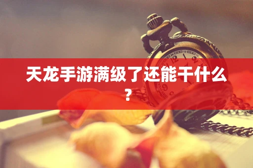 天龙手游满级了还能干什么？