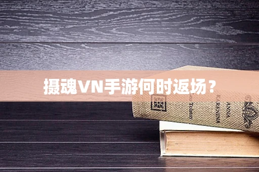 摄魂VN手游何时返场？