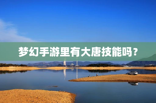 梦幻手游里有大唐技能吗？